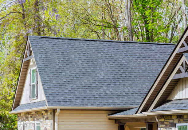 Best Roof Coating and Sealing  in North Shore, VA